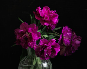 bouquet of dark red lilac tulips in glass vase on dark background. flower bouquet in vase on table. Gift interior decoration. florist, decorator. Flower shop.