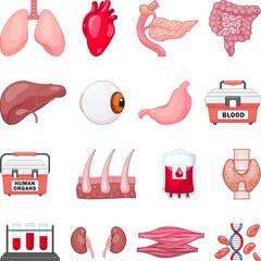 Donate organs icons set cartoon vector. Donor organ. Body liver health
