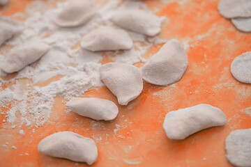 ukrainian national food  - dumplings