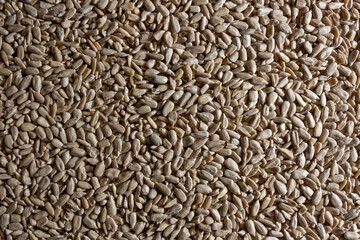 Peeled Sunflower Seeds Background: A Culinary Canvas of Shell-free Sunflower Seeds, Creating a Lively and Textured Background for Gourmet Cooking - Top View, Flat Lay