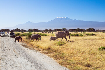 The park Amboseli.