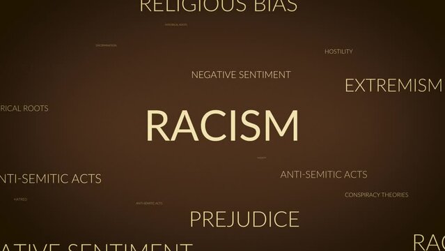 Unveiling Perspectives: A Dynamic Zoom into Racism Related Themes