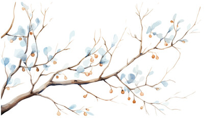Vector watercolor illustration branches with snow，winter branches with golden berries，Christmas branches - obrazy, fototapety, plakaty