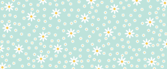 Vector pattern illustration of white daisy flowers on a green background. Pretty floral pattern for print. Flat design vector.