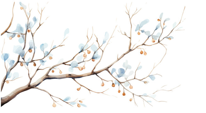 Vector watercolor illustration branches with snow，winter branches with golden berries，Christmas branches