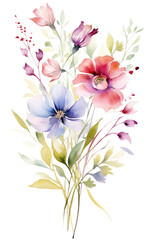 Fototapeta na wymiar watercolor wildflower bouquet transparent background