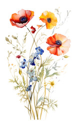 watercolor wildflower bouquet transparent background