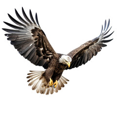 American eagle flying majestically on transparent background PNG.