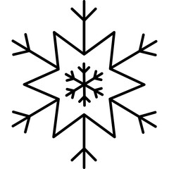 Obraz premium Snowflake