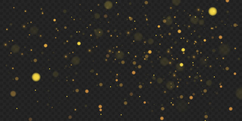 Fototapeta na wymiar Magical light dust, dusty shine. Flying particles of light. Christmas light effect. Sparkling particles of fairy dust glow in transparent background. Vector illustration on png.