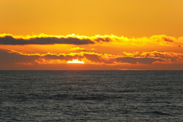 Atardeces