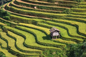 Papier Peint photo Rizières Rice terraces .Mu Cang Chai. Vietnam