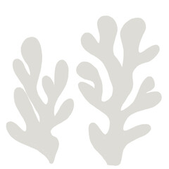 Handdrawn Organic Plant