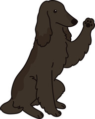 Simple and adorable dark colored Afghan Hound illustration handshake