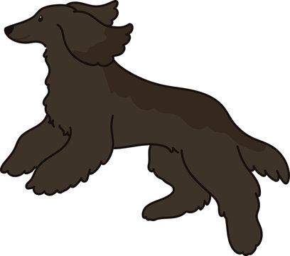 recommend clip art: Simple and adorable dark colored Afghan Hound illustration jumping