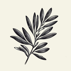 Hand drawn olive branch vector solid