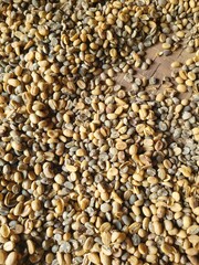 Granos de café