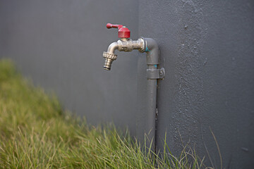 The faucet is installed on the fence wall near the lawn. - obrazy, fototapety, plakaty