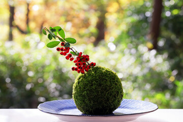 秋の庭に緑の苔玉と赤い南天の
実