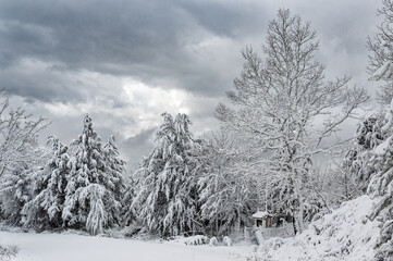 Winter landscape with snowy trees at Mount Cholomon in Chalkidiki, Greece
