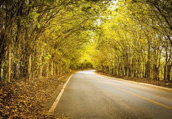 Fototapeta premium Estrada do distrito Acuruí para Itabirito-MG