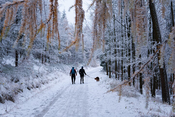 couple walks with dog along a mountain trail in winter. Mountain adventure and a walk with a dog