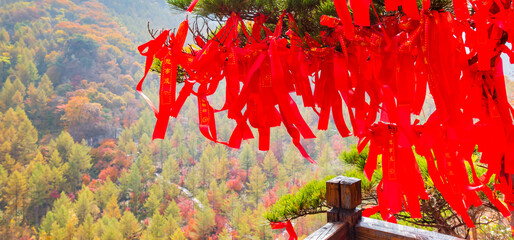 Panorama of red ribbons on a wish tree in the nature area near Benxi, China