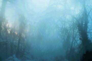 Abstrakte dunkle Baumlandschaft vor Himmel mit Licht bei Schnee und Nebel am frühen Morgen im...