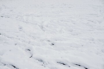 Fototapeta na wymiar Schneebedeckte Wiese mit Fußabdrücken am Nachmittag im Winter