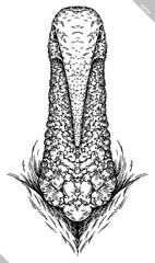 Vintage engraving isolated turkey set illustration ink sketch. Farm fowl background bird silhouette art. Black and white hand drawn vector image