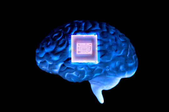 Human brain anatomical model with CPU processor microchip