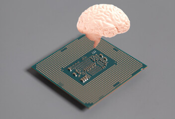 Human brain anatomical model with CPU processor microchip on gray background.