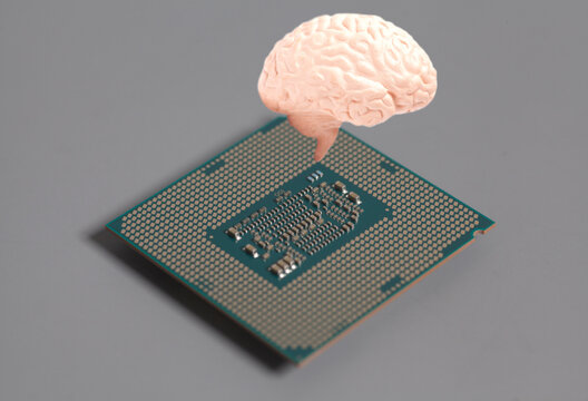 Human brain anatomical model with CPU processor microchip on gray background.