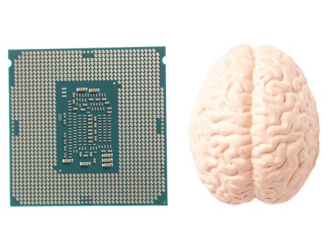 Human brain anatomical model with CPU processor microchip isolated on white background