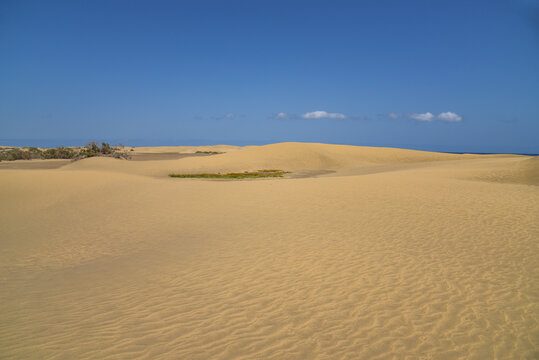 Sanddünen auf der Insel Gran Canaria