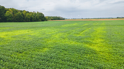 Overcast on summer day in wisconsin