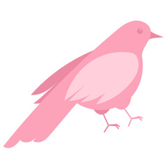 pink pigeon illustration