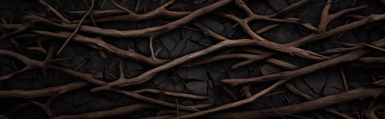 Foto op Plexiglas Banner photo of dark dry roots sticks on black soil for background or banner. Шntertwined dark wooden branches creating a natural, textured pattern © Ksenija