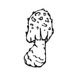 Linear sketch,doodle of forest mushroom fly agaric.Vector decorative element.