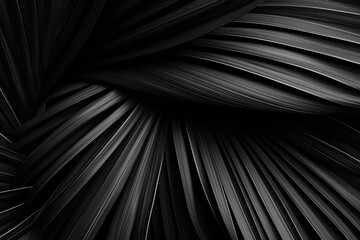 Black textured tropical palm leaves abstract background. Nature texture leaf black and white template. Macro. Dark nature concept - obrazy, fototapety, plakaty