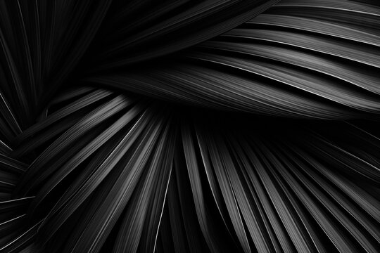 Black textured tropical palm leaves abstract background. Nature texture leaf black and white template. Macro. Dark nature concept
