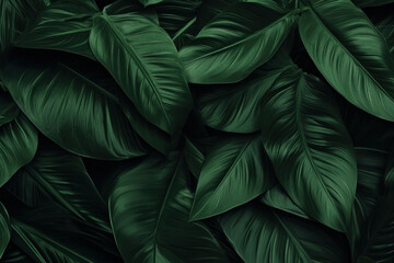 Dark green tropical leaves abstract background. Nature texture leaf template, Flat lay. Dark nature concept. Floral pattern