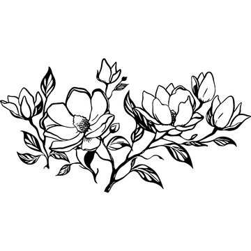 Magnolia flower vector design, Horizontal Floral arrangement black silhouette, Magnolia SVG, blooming flowers printable png images, Sublimation designs
