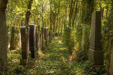 Grabsteine und Natur auf einem jüdischen Friedhof