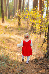 Rear view of child toddler girl in a red dress in the autumn forest. Happy childrens day. Active outdoor games, fun and happy concept of carefree childhood