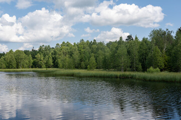 Lake in green nature with blue sky and white clouds