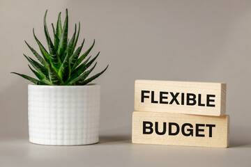  Concept words Flexible budget on wooden blocks. Beautiful szare background with succulent plant. Flexible budget symbol and concept. Copy space