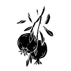 Pomegranate fruit silhouette.Decorative botanical element.Vector graphic.