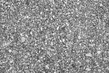 Floor concrete texture and background. White cement wall room.