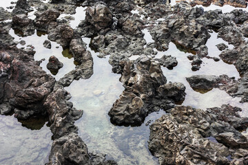 Volcanic lava pools. Small water puddle in rock. Rocky shore background. Volcanic stone on ocean shore. Tenerife on Canary island texture. 